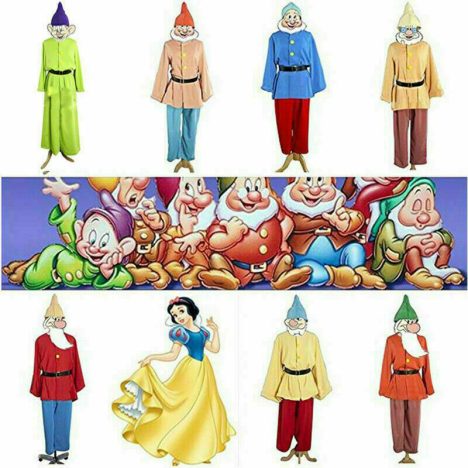 7 dwarfs costume