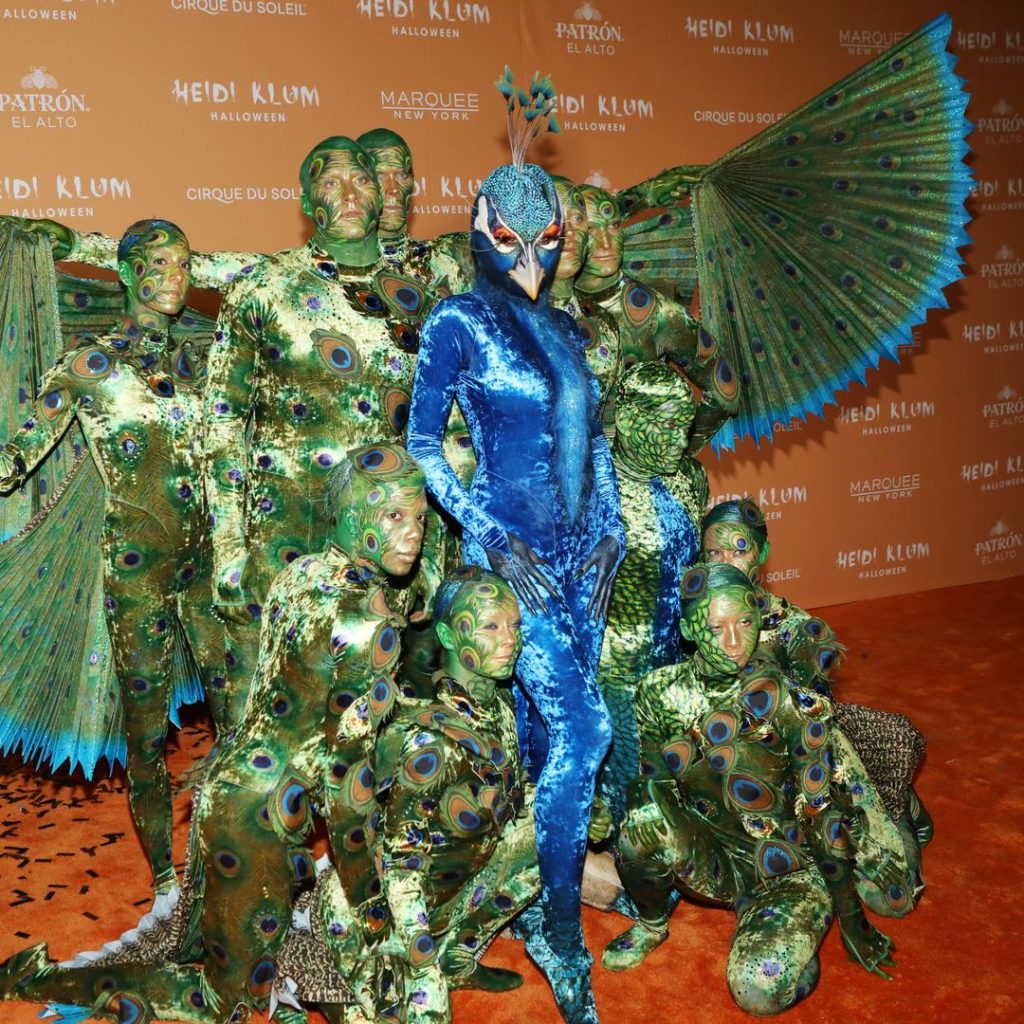 peacock costume