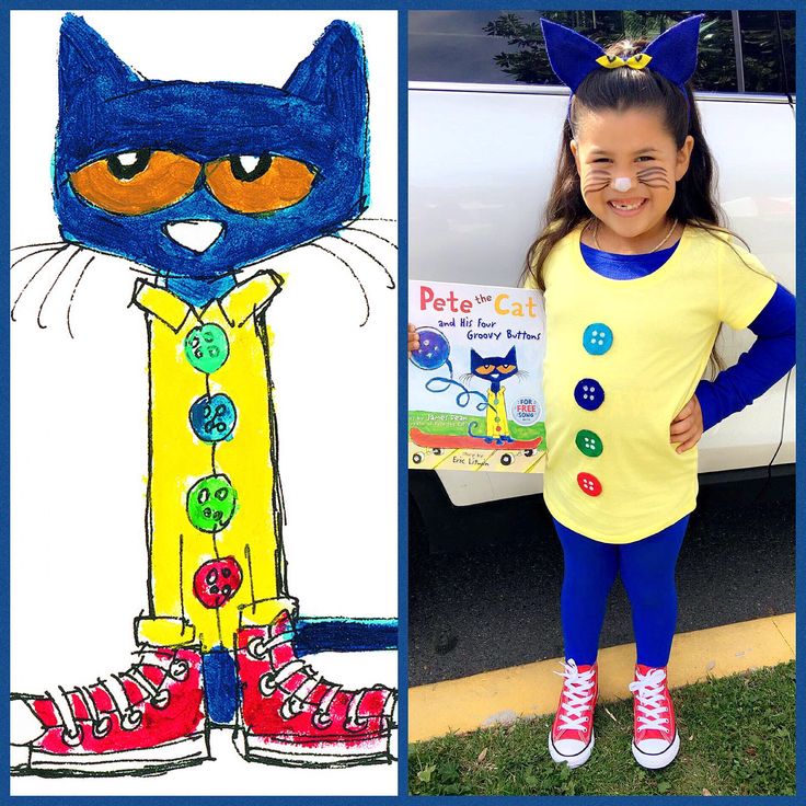 pete the cat costume diy