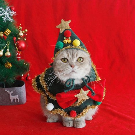 cat christmas costumes