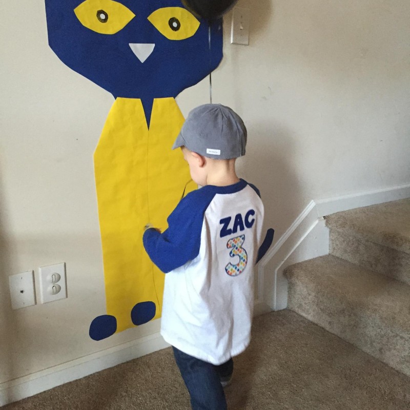 pete the cat costume diy