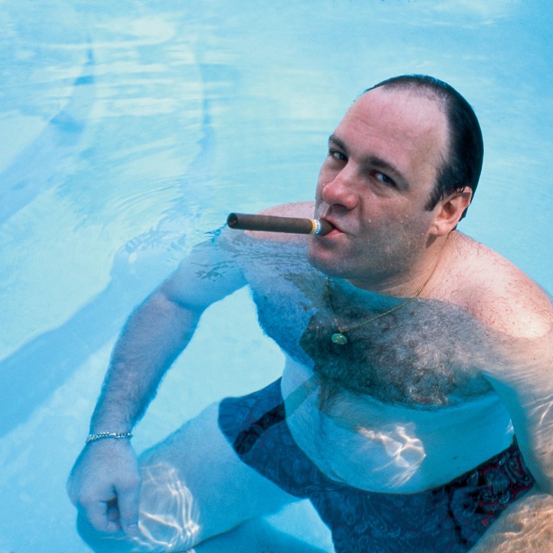 tony soprano halloween costume