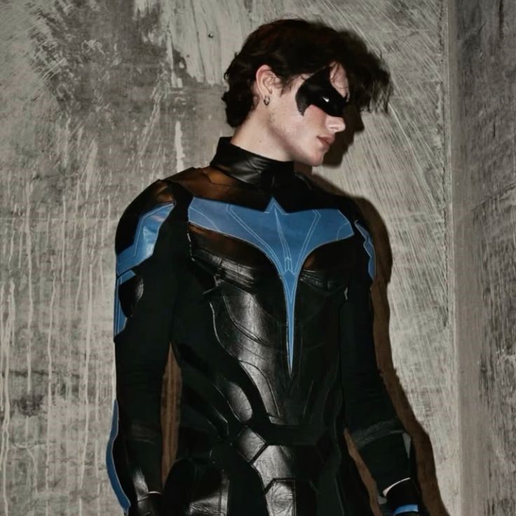 nightwing costume