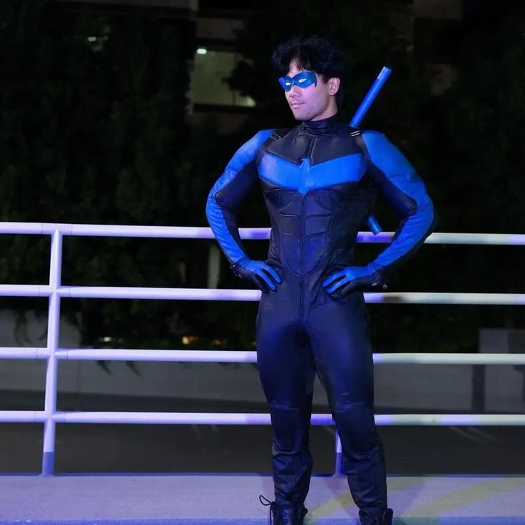 nightwing costume