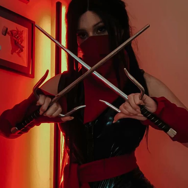 elektra costume