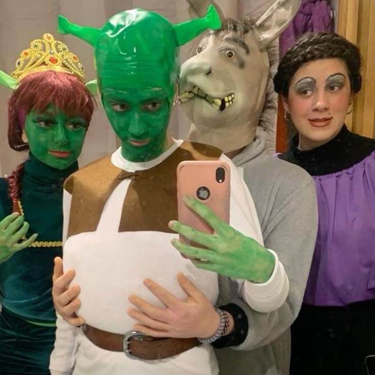 shrek costume ideas