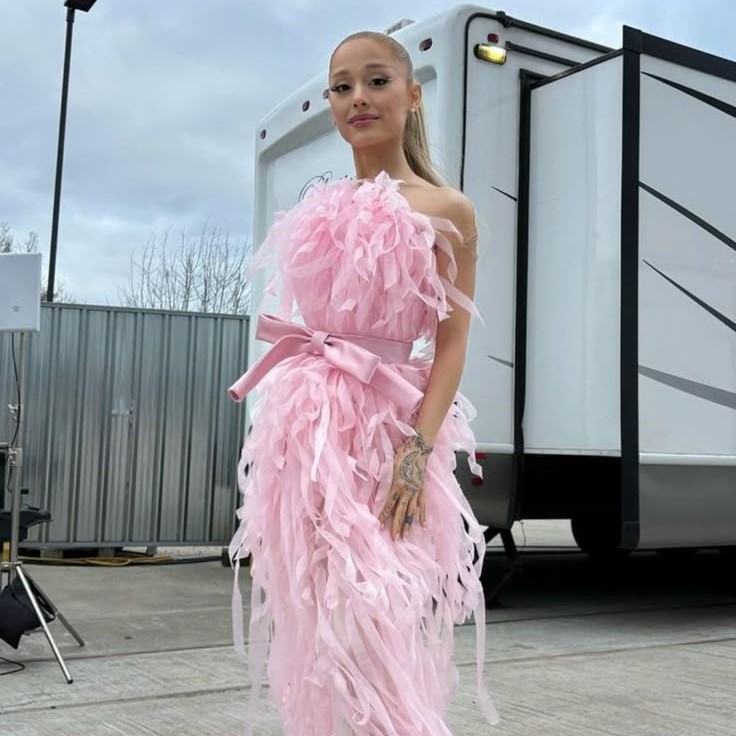 ariana grande costume
