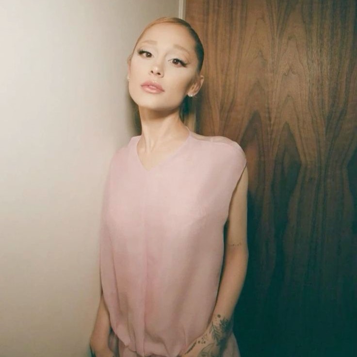 ariana grande costume