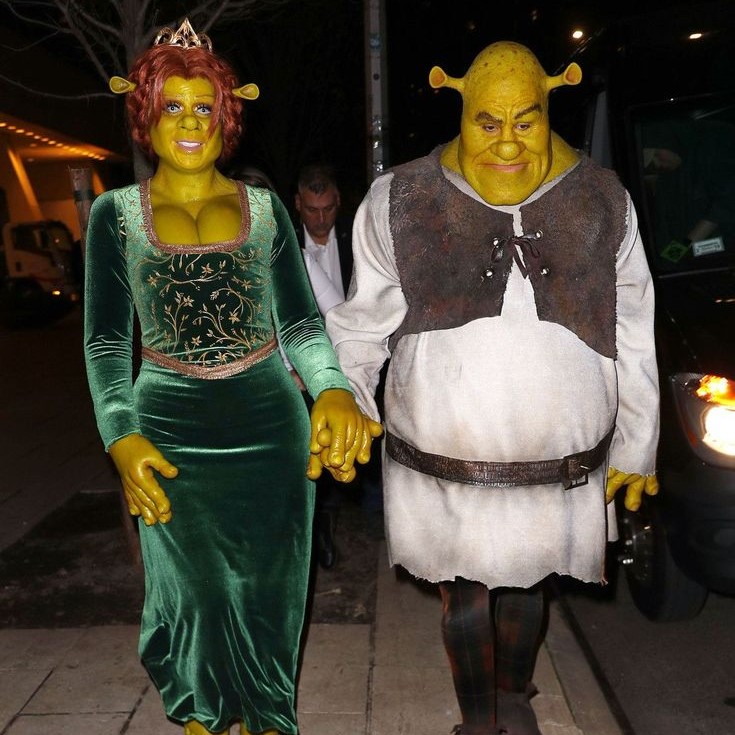 princess fiona costume
