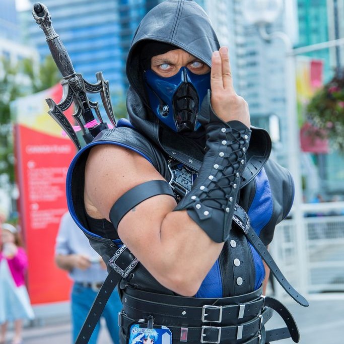 sub zero costume