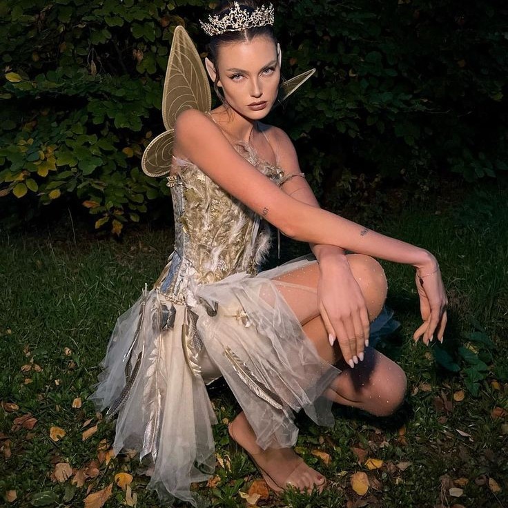 sexy fairy costume