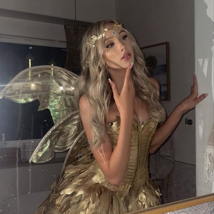sexy fairy costume