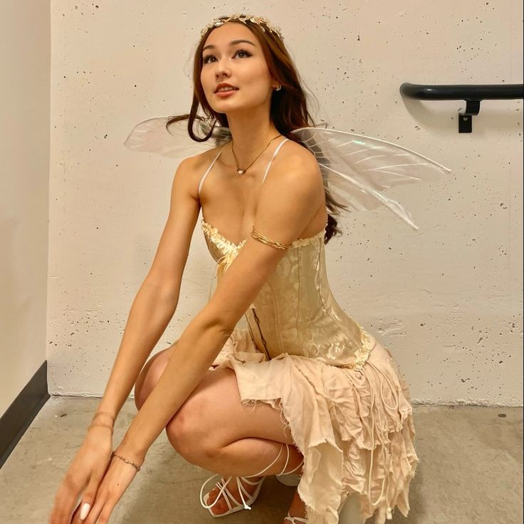 sexy fairy costume