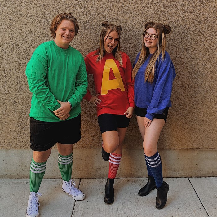 theodore chipmunk costume