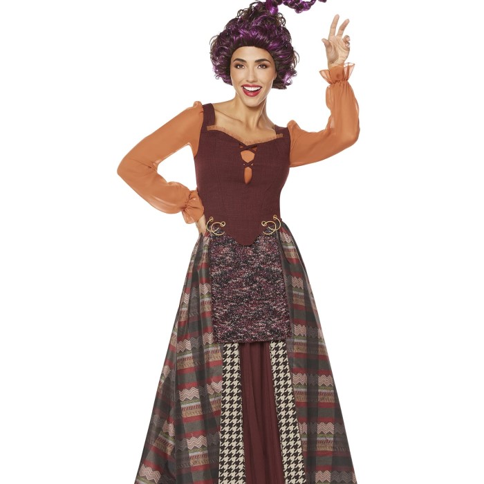 mary sanderson costume