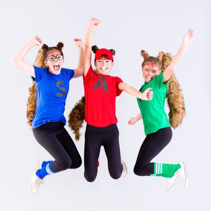 theodore chipmunk costume