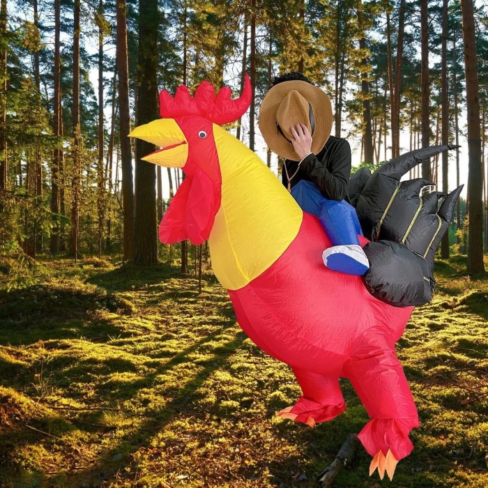 inflatable chicken costume