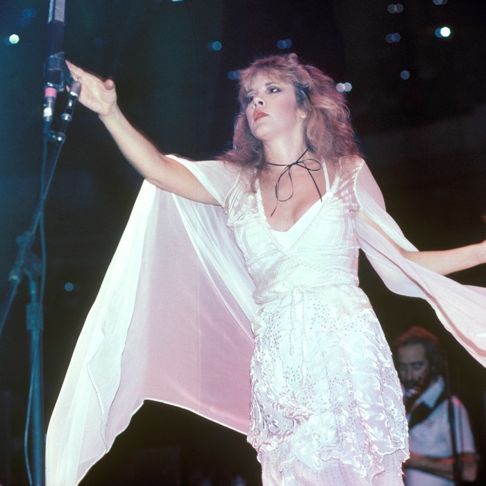 stevie nicks costume