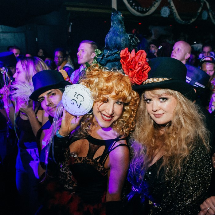 stevie nicks costume