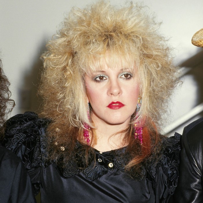 stevie nicks costume