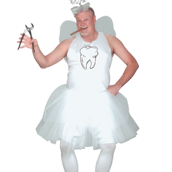 tooth fairy costume