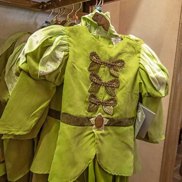prince naveen costume
