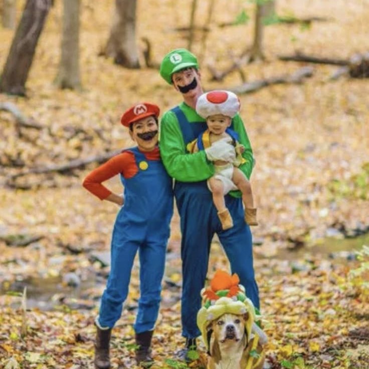 mario and luigi costume