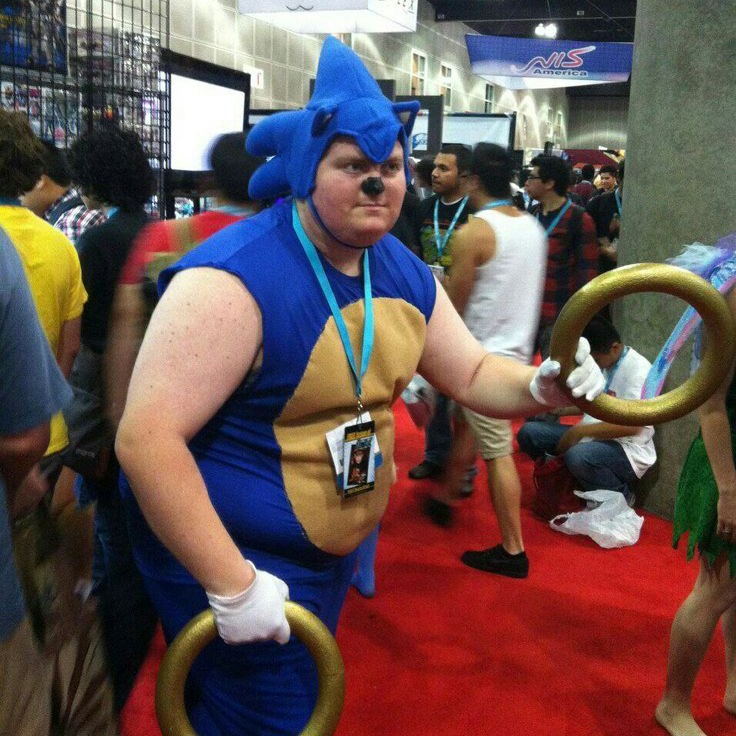 sonic the hedgehog costume