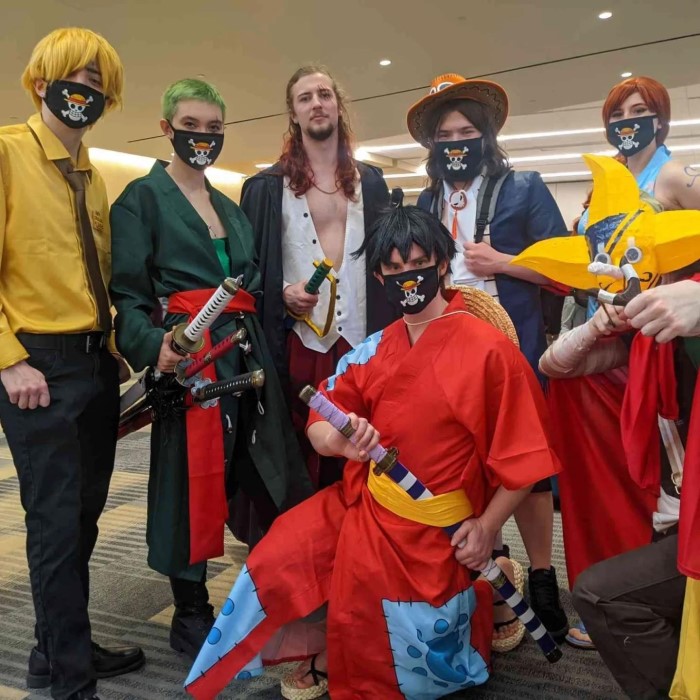 one piece costume