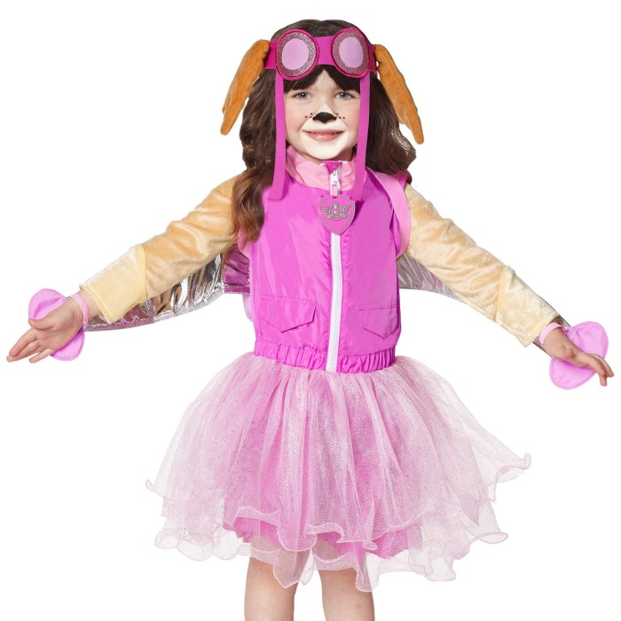 skye paw patrol costume