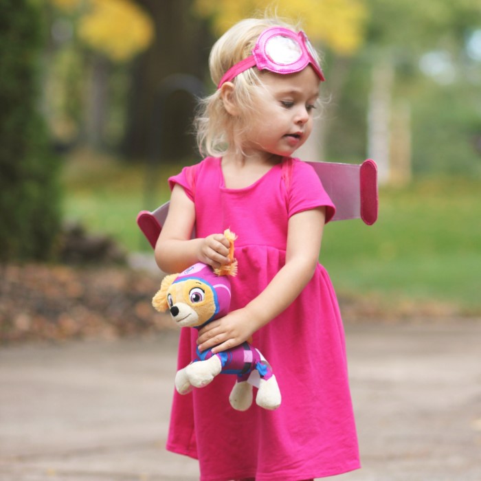 skye paw patrol costume