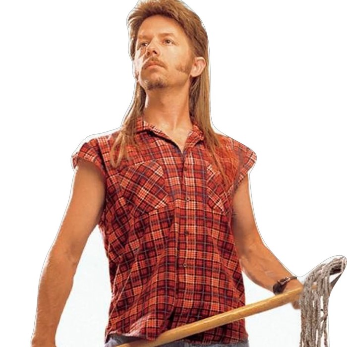 joe dirt costume