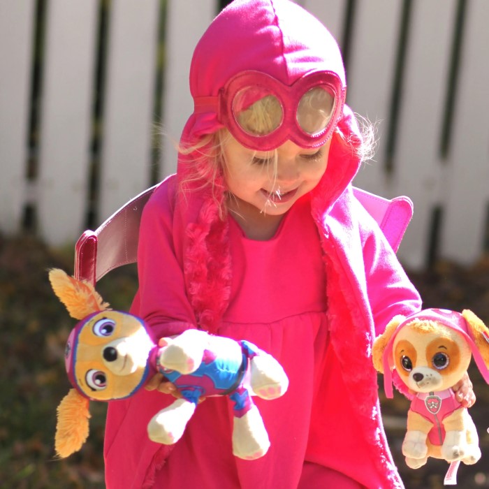 skye paw patrol costume