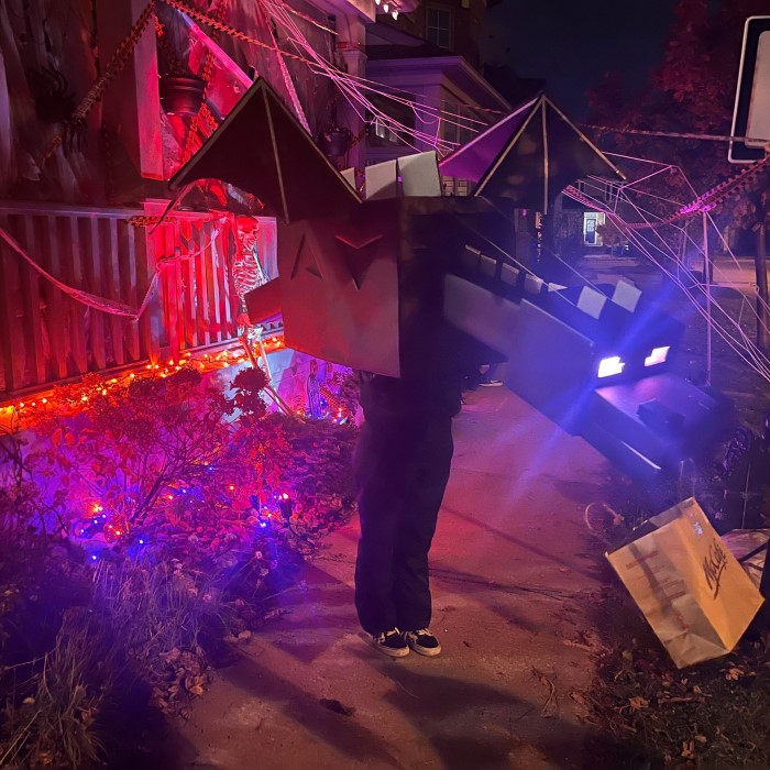 ender dragon costume