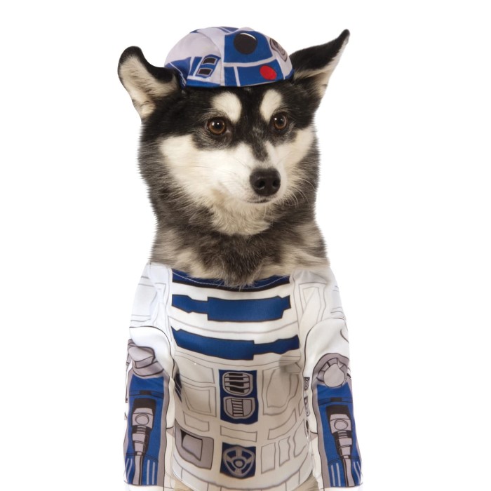 r2d2 costume