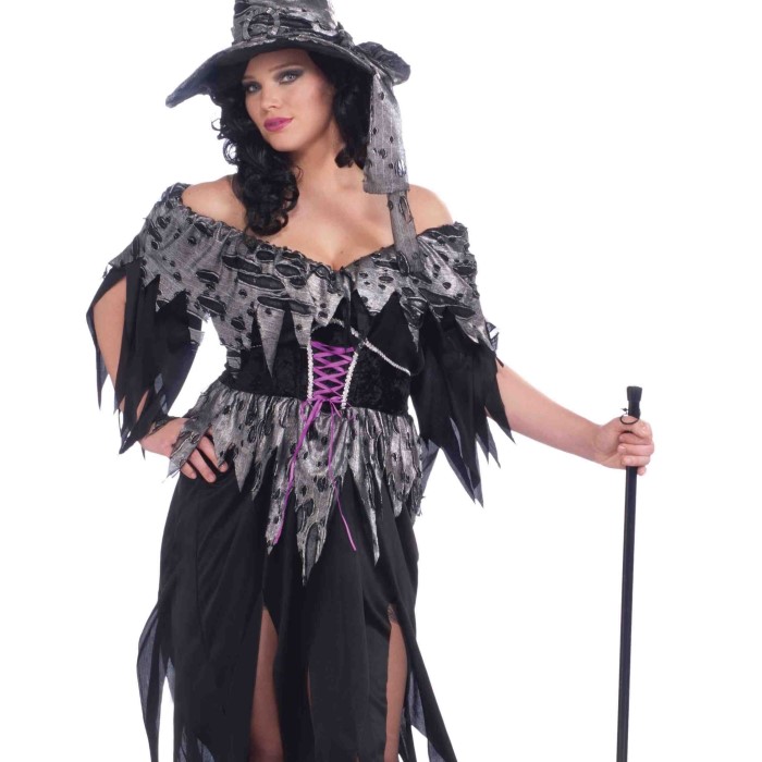 plus size witch costume