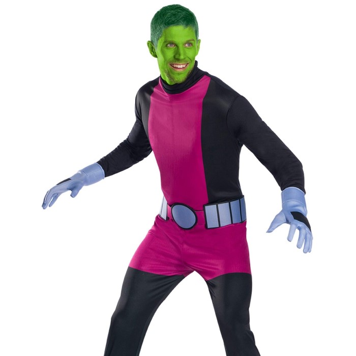 raven and beast boy costume