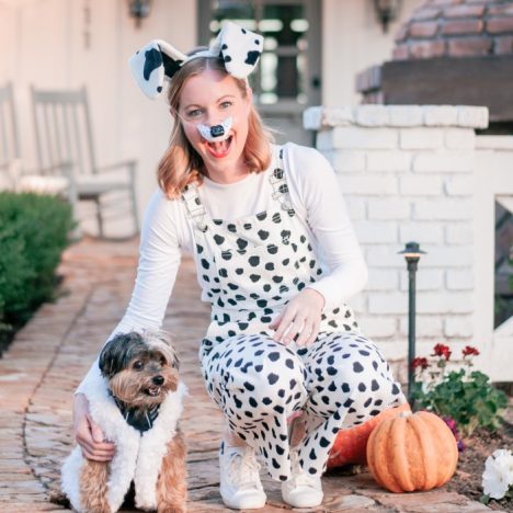 101 dalmatians costume