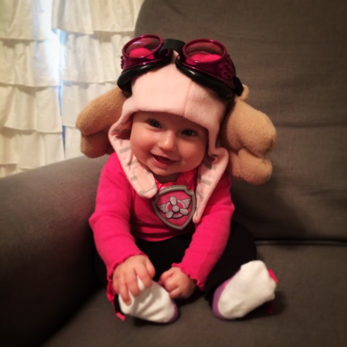 skye paw patrol costume