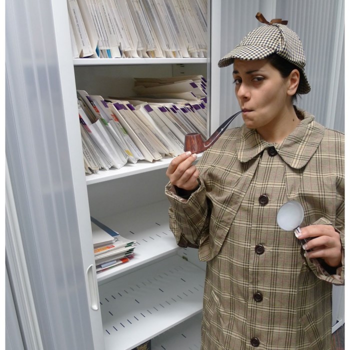 sherlock holmes costume