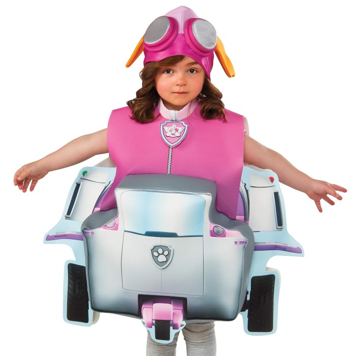 skye paw patrol costume