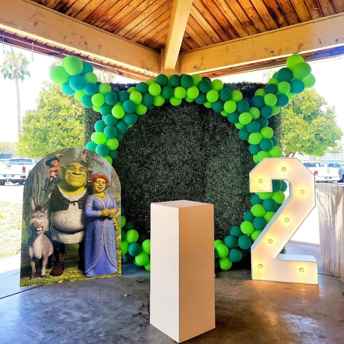 shrek birthday party supplies