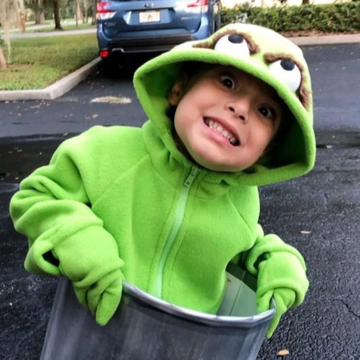 diy oscar the grouch costume ideas