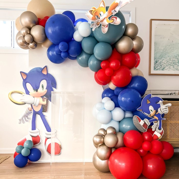 sonic birthday party supplies