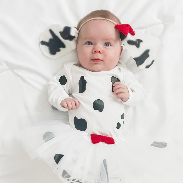 101 dalmatians costume