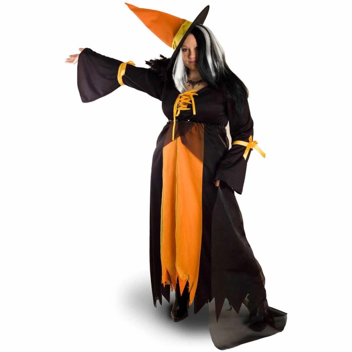 plus size witch costume