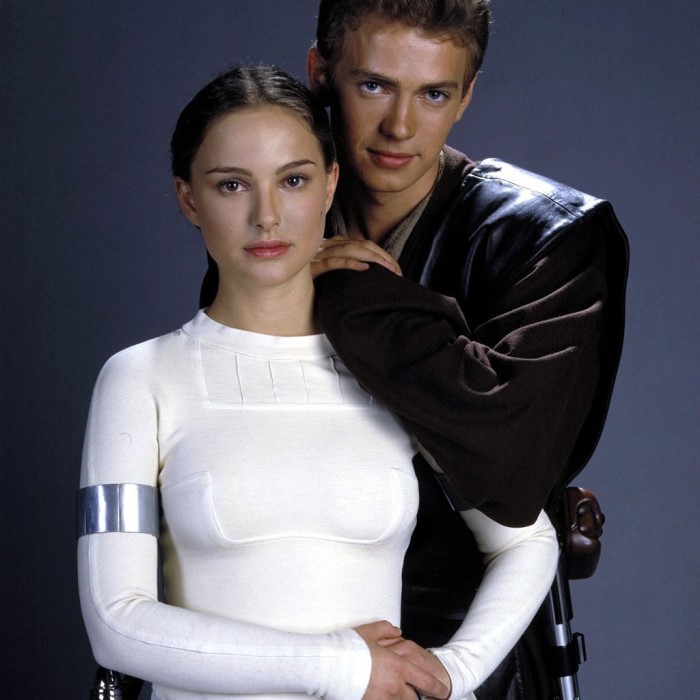 anakin and padme costume