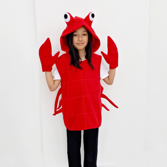 mr krabs costume