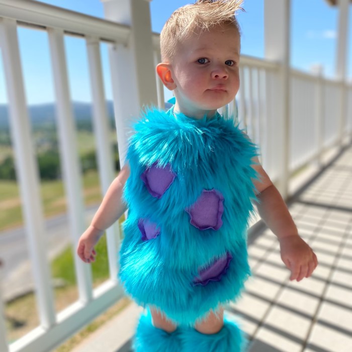 sully monsters inc costume