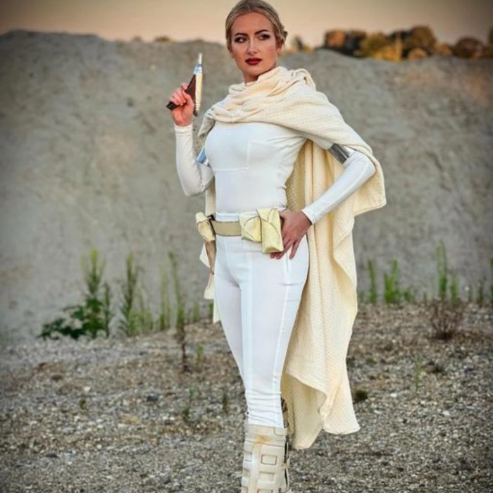 anakin and padme costume